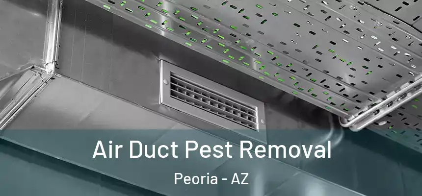  Air Duct Pest Removal Peoria - AZ