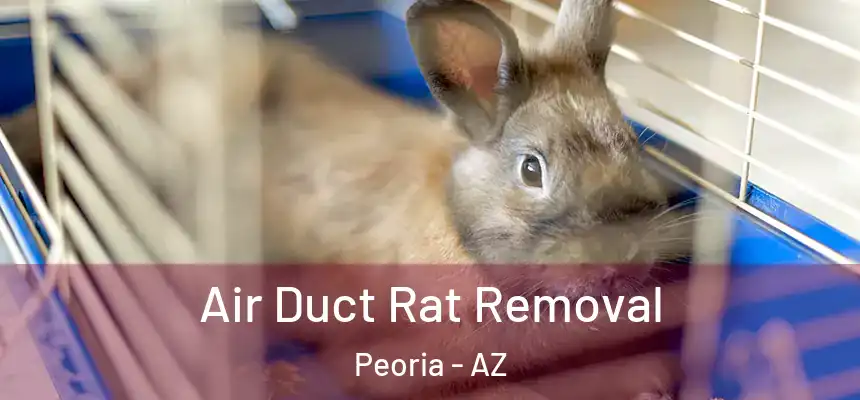  Air Duct Rat Removal Peoria - AZ