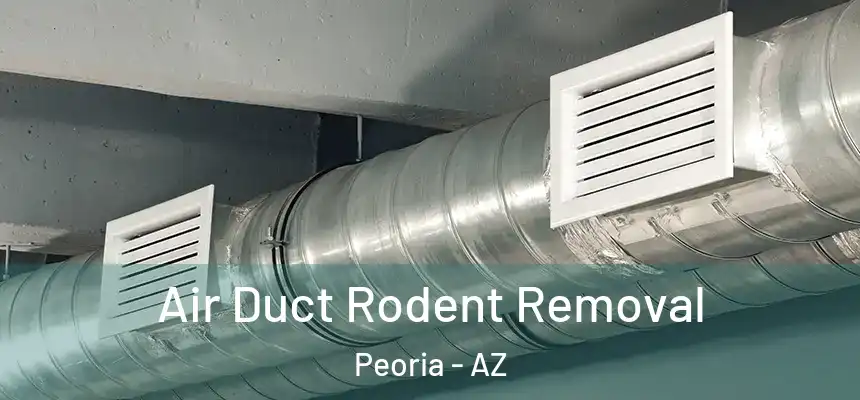  Air Duct Rodent Removal Peoria - AZ
