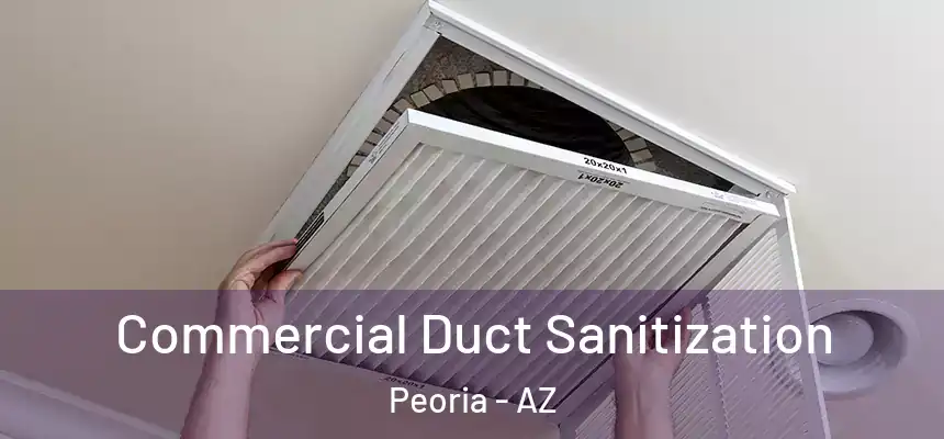  Commercial Duct Sanitization Peoria - AZ