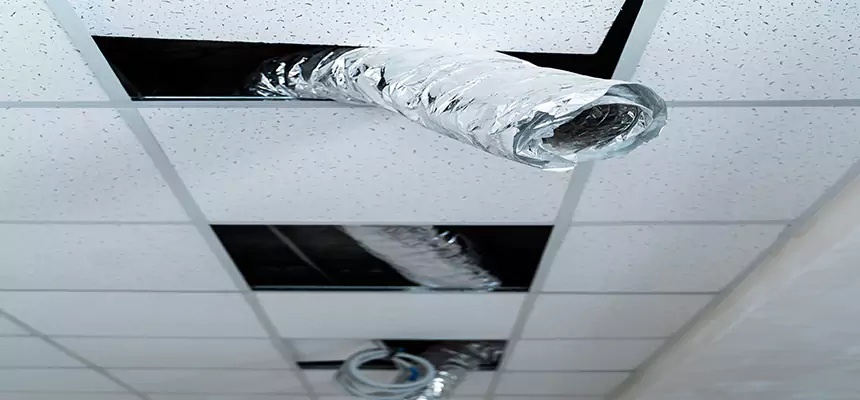 Our Air Duct Pet Hair Removal Services in Peoria, AZ