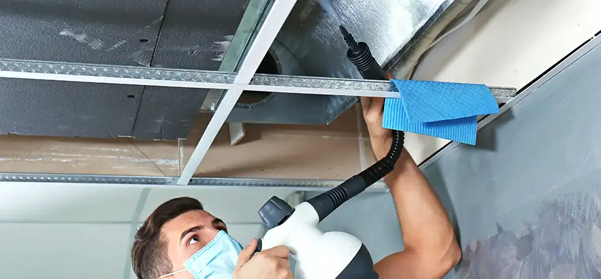 Our Air Duct Rodent Removal Services in Peoria, AZ