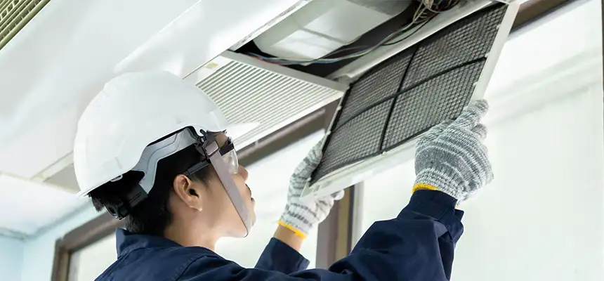 Our Lint Trap Cleaning Service Services in Peoria, AZ