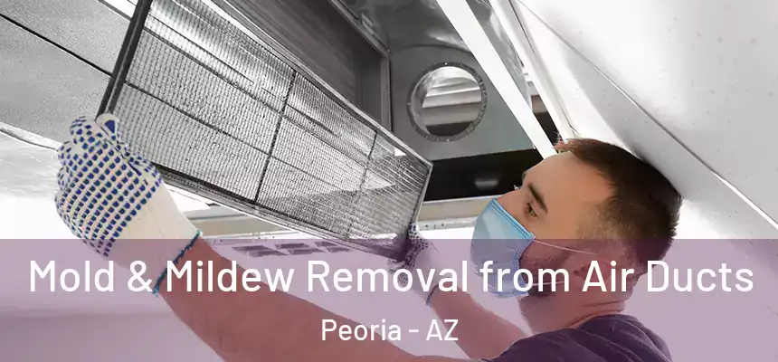 Mold & Mildew Removal from Air Ducts Peoria - AZ
