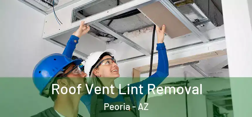 Roof Vent Lint Removal Peoria - AZ