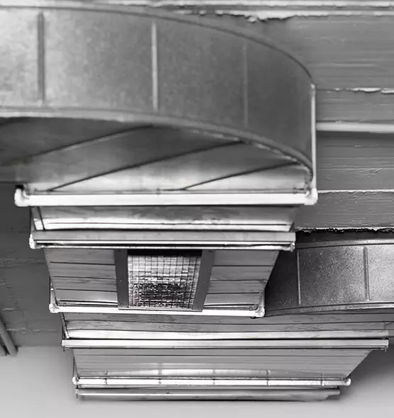 Professional Air Duct Pest Removal in Peoria, AZ