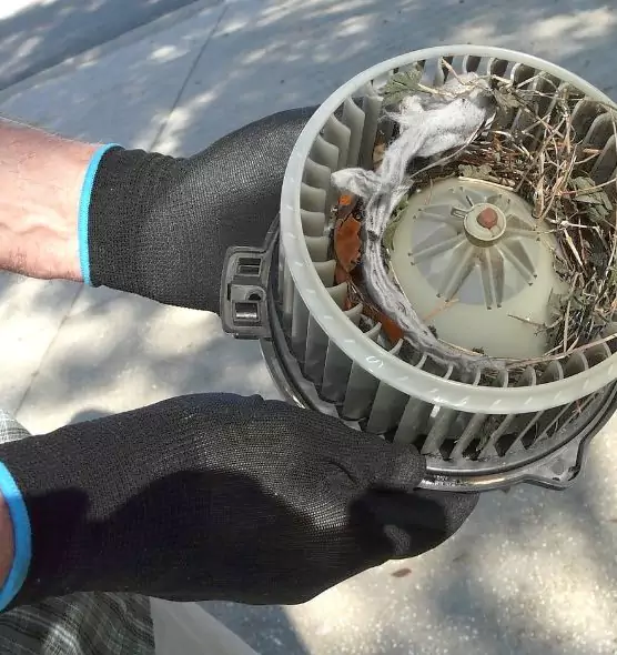 About Air Duct Rat Removal in Peoria, AZ