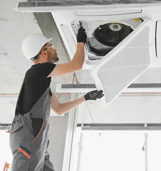 About Air Duct Rodent Removal in Peoria, AZ