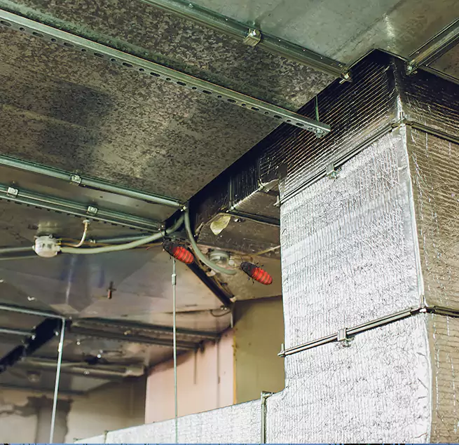 Why Homeowners & Businesses Trust Us in Peoria, AZ?