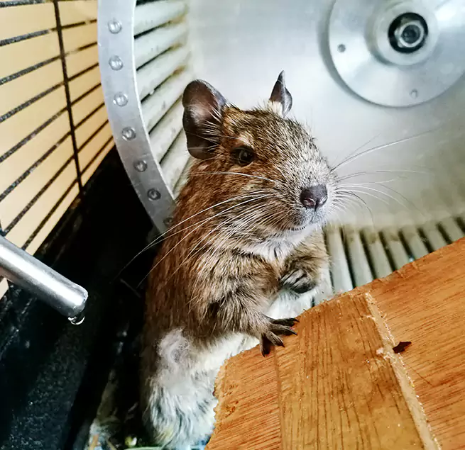 Why Homeowners & Businesses Trust Us Peoria, AZ