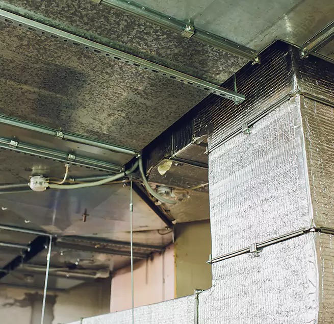 Why Homeowners & Businesses Trust Us in Peoria, AZ?