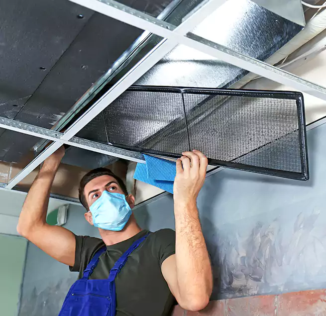 Why Homeowners Businesses Trust Us in Peoria, AZ